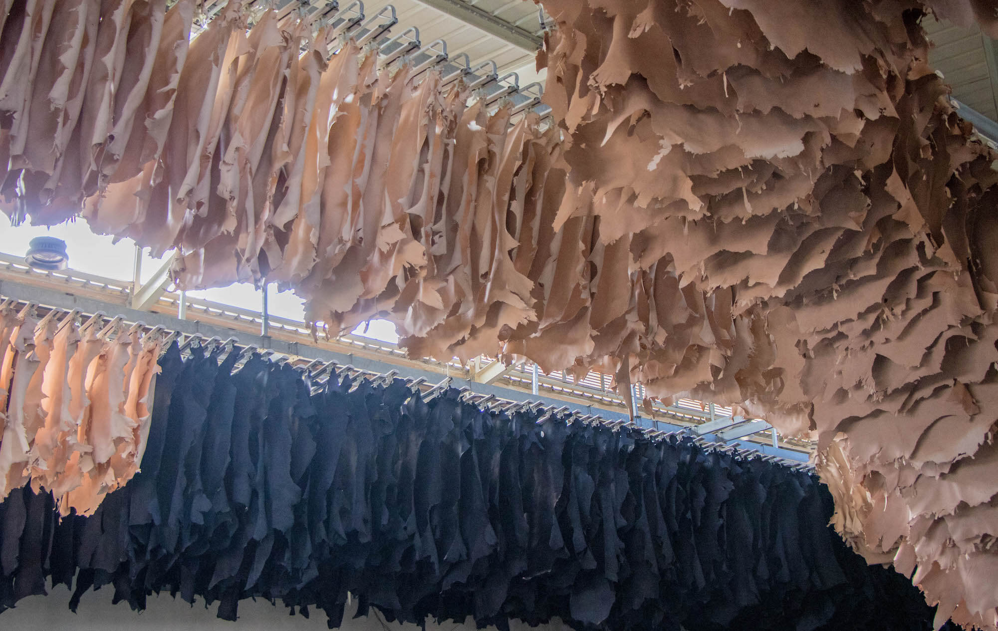 Leather Export Growth After Robbiki Phase I Operation